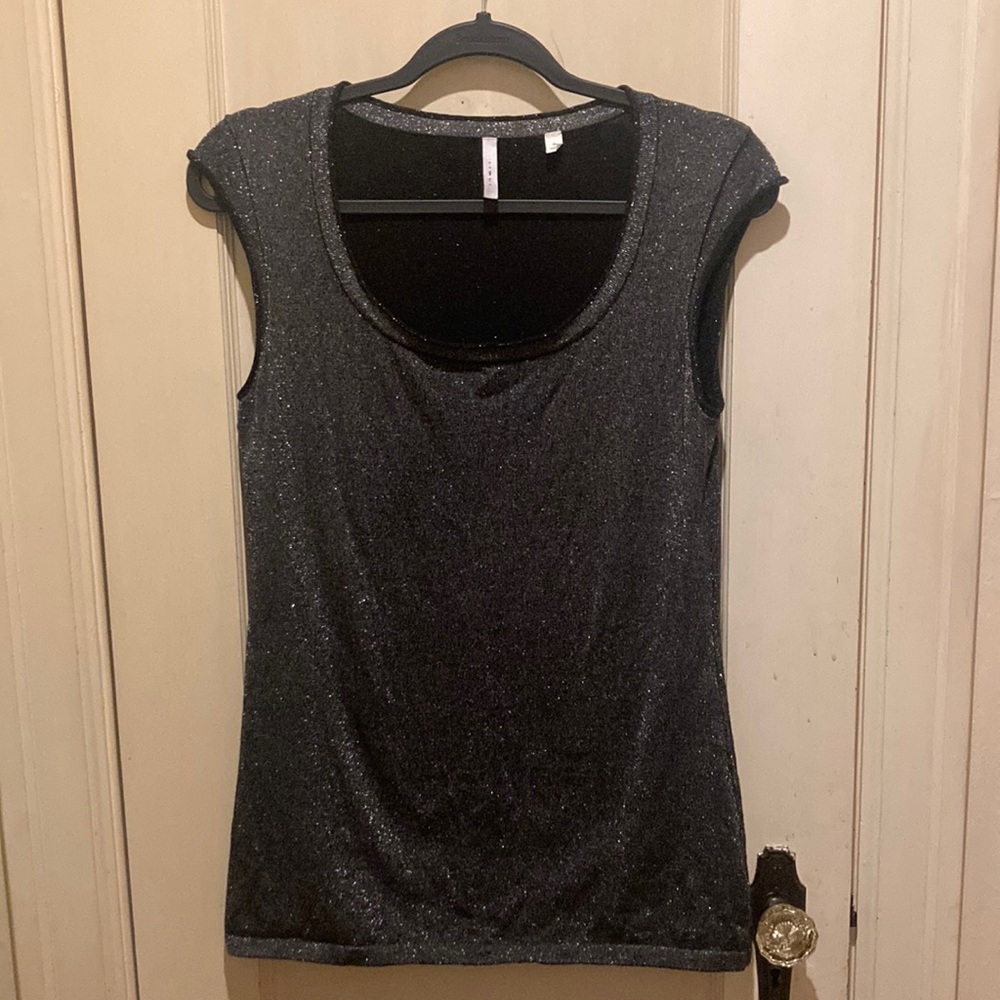 Iisli Sleeveless Silver Metallic Sweater - Size Medium Dressy Glam